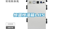 恒温恒湿箱LHS