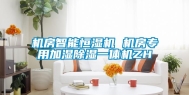 机房智能恒湿机 机房专用加湿除湿一体机ZH