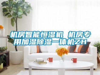 知识百科机房智能恒湿机 机房专用加湿除湿一体机ZH