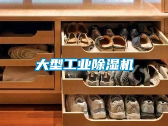 企业新闻大型工业除湿机