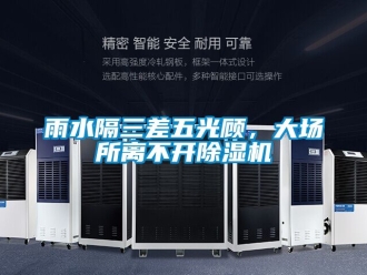 行业新闻雨水隔三差五光顾，大场所离不开除湿机