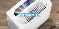 小除湿机大作用