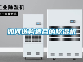 行业新闻如何选购适合的除湿机