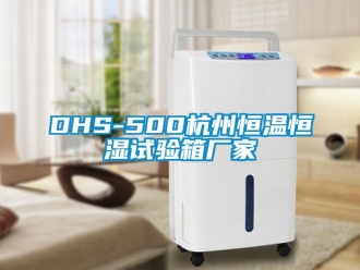 常见问题DHS-500杭州恒温恒湿试验箱厂家