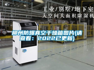 企业新闻柳州防爆真空干燥箱图片(请查看：2022已更新)