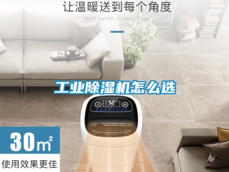 常见问题工业除湿机怎么选