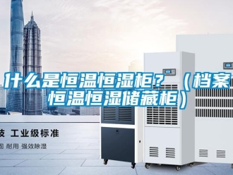 知识百科什么是恒温恒湿柜？（档案恒温恒湿储藏柜）