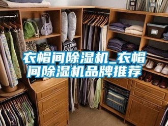 企业新闻衣帽间除湿机_衣帽间除湿机品牌推荐