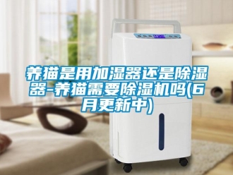行业新闻养猫是用加湿器还是除湿器-养猫需要除湿机吗(6月更新中)