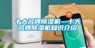 十大名牌除湿机—十大名牌除湿机知识介绍