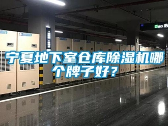 企业新闻宁夏地下室仓库除湿机哪个牌子好？