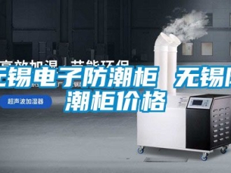 常见问题无锡电子防潮柜 无锡防潮柜价格