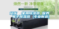 安庆  家用除湿器 保养 电子除湿器 (专业制造)