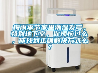 企业新闻梅雨季节家里潮湿发霉，特别地下室，你烦恼过么，你找到正确解决方式么？