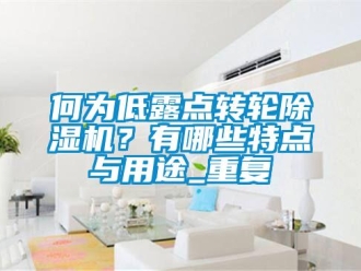常见问题何为低露点转轮除湿机？有哪些特点与用途_重复