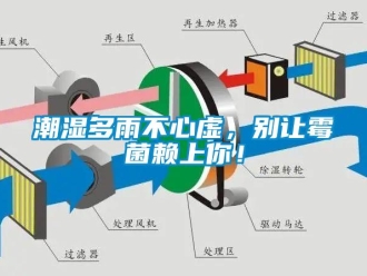 企业新闻潮湿多雨不心虚，别让霉菌赖上你！