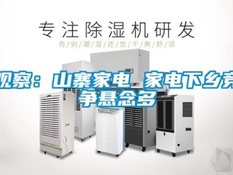 行业新闻观察：山寨家电 家电下乡竞争悬念多