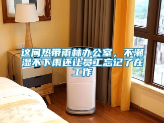 知识百科这间热带雨林办公室，不潮湿不下雨还让员工忘记了在工作