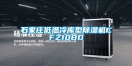 石家庄低温冷库型除湿机CFZ10BD