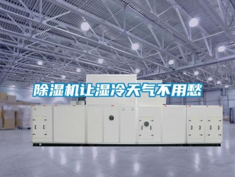 企业新闻除湿机让湿冷天气不用愁