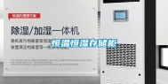 恒温恒湿存储柜