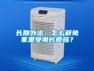 常见问题长期外出，怎么避免家里受潮长蘑菇？