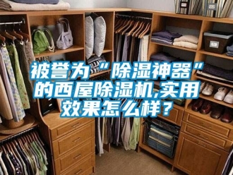 企业新闻被誉为“除湿神器”的西屋除湿机,实用效果怎么样？