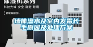 墙体渗水及室内发霉长毛原因及处理方案