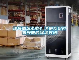 企业新闻湿气重怎么办？这是我见过最舒服的除湿方法