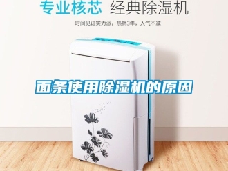 行业新闻面条使用除湿机的原因