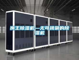 行业新闻狮王除湿机—无可挑剔的除湿机