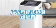 广东可程式恒温恒湿箱
