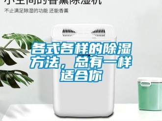 企业新闻各式各样的除湿方法，总有一样适合你
