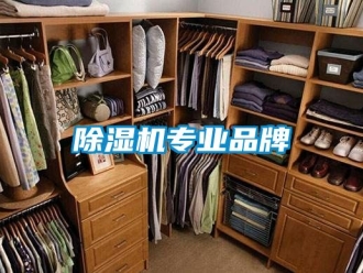 企业新闻除湿机专业品牌