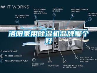 企业新闻洛阳家用除湿机品牌哪个好