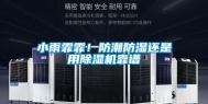 小雨霏霏！防潮防湿还是用除湿机靠谱