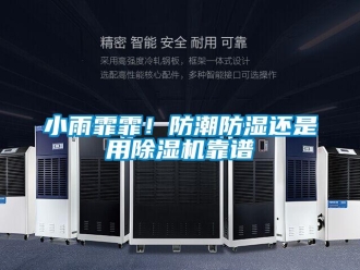 知识百科小雨霏霏！防潮防湿还是用除湿机靠谱