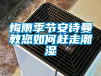 企业新闻梅雨季节安诗曼教您如何赶走潮湿