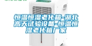 恒温恒湿老化箱-湖北高天试验设备-恒温恒湿老化箱厂家