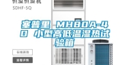 塞普里 MH80A-40 小型高低温湿热试验箱