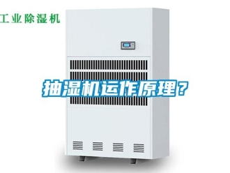 常见问题抽湿机运作原理？
