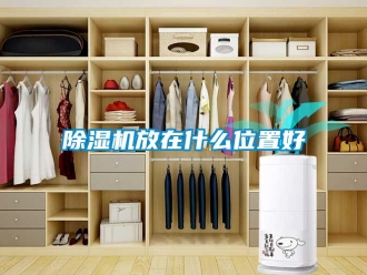 行业新闻除湿机放在什么位置好