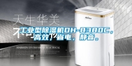 工业型除湿机DH-8380C，高效，省电，静音。