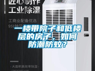 常见问题一楼带院子和低楼层的房子，如何防潮防蚊？