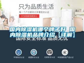 企业新闻国内除湿机哪个牌子好 国内除湿机品牌介绍【详解】