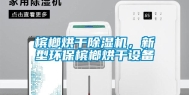 槟榔烘干除湿机，新型环保槟榔烘干设备