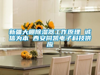 行业新闻新疆大棚除湿器工作原理 诚信为本 西安同凯电子科技供应