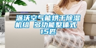 派沃空气能烘干除湿机组 多功能整体式 15匹