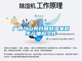 企业新闻广西马山县开展鲜湿米粉生产抽检工作