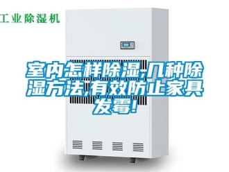 企业新闻室内怎样除湿,几种除湿方法,有效防止家具发霉!